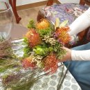 핑크힐병원 이미지