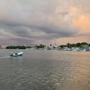 Playa(플라야) 이미지