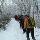 태백산 - 서구 완정로 151 | 태백산
