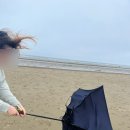 바다마트 이미지