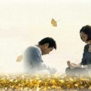 녹색지대 이미지