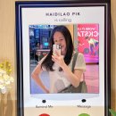 [자카르타 혼밥] 하이디라오 PIK Avenue점 솔직 이용 후기 (혼밥 메뉴 및 팁)