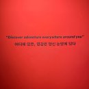 그라운드시소 우연히, 웨스앤더슨 (AWA) 토요일 관람후기