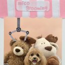 미코 그루밍 이미지