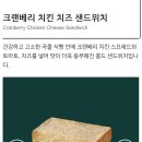 스타벅스 크랜베리 치킨 치즈 샌드위치 단종이야????? 이미지