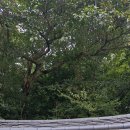 경주/가족여행/10월5일/석굴암 이미지