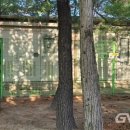 관문체육공원 실내체육관 이미지