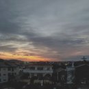 조명탄