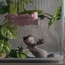 크레리 | 크레리 방문 후기