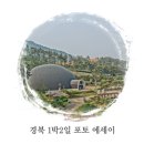 회연농장 | [경북 1박2일 포토 에세이] 경상북도 고령과 성주에 다녀왔습니다