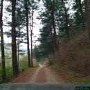 희여울과 꽃나예 이미지