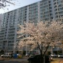 내서읍506 이미지