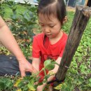 승지농장 이미지