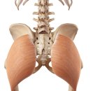 몸 사용 설명서 이미지