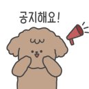 궁돈보쌈 이미지