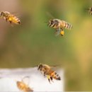 곡성농장 이미지