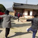 산약초와 한방차 이미지