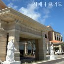 럭셔리프리모 | 제주도 럭셔리 호캉스 더 시에나 프리모 패밀리 스위트 시숙 후기(+셔틀 시간표)
