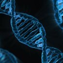크리스퍼 카스나인(CRISPR-Cas9)