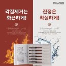 로뎀 에스테틱 이미지