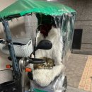 하놀한올 이미지