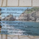 섬다육아트