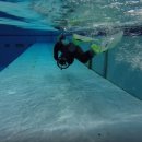 스킨스쿠버, 스킨다이빙(화) 이미지