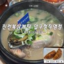 압구정 회식 맛집, 진전복삼계탕 압구정직영점 든든한 삼계탕