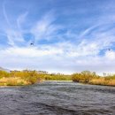 섬진강 침실습지 이미지