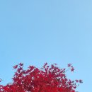 말구리농장 Daum카페