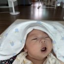 코코맘 | 뉴코코맘 트롤리 후기｜기저귀 갈이대 정리 후 선택한 이유