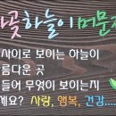 비자곶