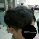 신 헤어갤러리