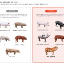 땡길 땐 용인 맛집 &lt;로얄피그&gt; 내돈내산 솔직후기, &lt;레이크라이크&gt; 샌드위치 먹으며 동백호수공원...