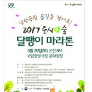 [본청] 2017 도시숲 달팽이마라톤 개최 이미지