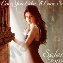 Selena Gomez - Love You Like A Love Song 이미지