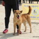 다온이네 이미지