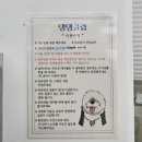 댕댕클럽 이미지