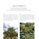 시간무늬 이미지