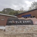 거창 항노화 힐링랜드 이미지