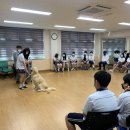 상관중학교 이미지