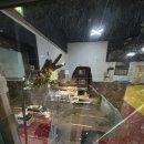 정도 유도 체육관 2관 답십리 이미지