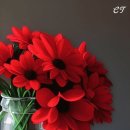 행복한 하루 이미지