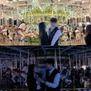 서성 1 하서경로당 | 롯데월드 잼미따 우당탕탕 롯데월드 데이트 후기