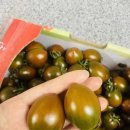 흑토랑농장 | 신선한 흑토마토 [채고농장] 재주문 후기 흑토마토 효능 제철 칼로리