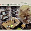 우리1민박 이미지