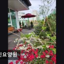 폴리프라자 | [의왕 요양원/추천/후기/가격] 가인요양원 가인요양원, 전문 돌봄의 신뢰성