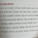 데이비