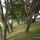 진월 돈탁마을 숲 네이버블로그