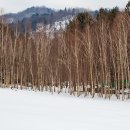 (주)펫투개더 이미지